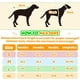 thumbnail image 2 of Impermeable y Zapatos para Perro Sunnymove para perros de 4.5-10 kg Amarillo (es_MX), 2 of 6