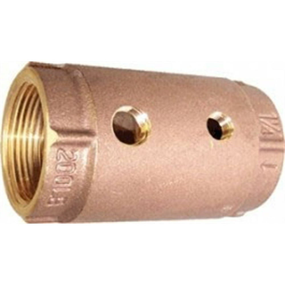 Check Valve, Double Tap 1" Nl