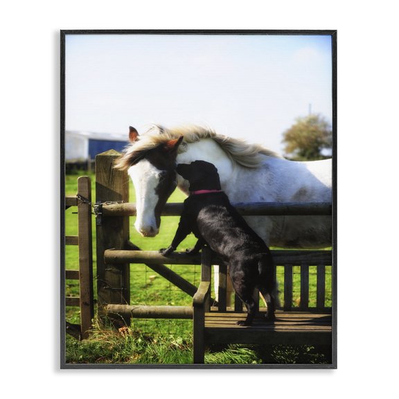Stupell Industries Rustic Lodge Colorful Farm Horse and Dog Animal Photo Black Framed Giclee Art, 11 x 14, by Villager Jim