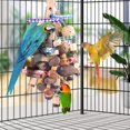 thumbnail image 3 of Chew Toys Bissap, loro grande para guacamayos, grises africanos y cacatúas, 3 of 6