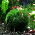 4PCS Aquarium Moss Balls,Live Aquarium Plants Green Moss Decorative
