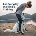 thumbnail image 3 of Arnés para perro Ruffwear Front Range reflectante acolchado talla L/XL, 3 of 9
