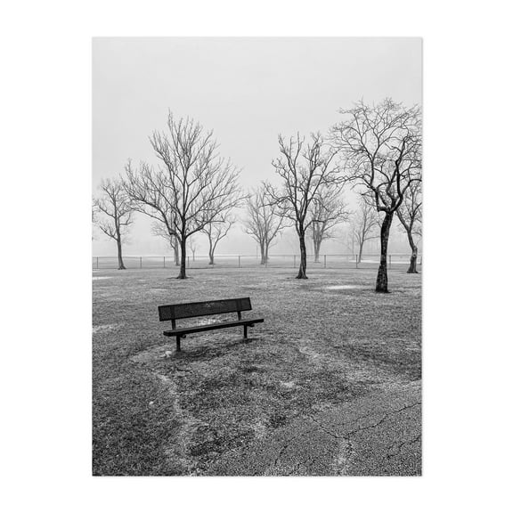 Empty Bench at Tom Bass Park - Houston Texas Photography Black and White Foggy Winter Minimalist Nature Scenic Moody Unframed Wall Art Print 24 x 30 inches