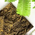 thumbnail image 4 of Reptile Tank Background, Rock Terrarium Background, Stereo Amphibian Backdrop, Aquarium Background Decoration For Fish, Turtles, Geckos, 4 of 9