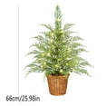 thumbnail image 4 of Taotanxi 2ft Pre-lit Twinkle Christmas Norfolk Pine Tree with LED Light Realistic Artificial Trees with Woven Basket Base Xmas Holiday Decor for Indoor Living Room Home (Norfolk Pine Tree), 4 of 7