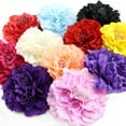 thumbnail image 3 of Fashion Girl Women Simulation Floral Flower Hairpin Hair Clip Hairband Gift, 3 of 7