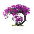 thumbnail image 2 of AURORA TRADE Artificial Bonsai Tree , Fake Plant Decoration, Potted Artificial House Plants, Japanese Pine for Desktop, Zen Garden, Home Decor, 2 of 8