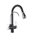 thumbnail image 1 of Black And Golden Filtered Crane For Kitchen Pull Out Sprayer Drinking Water Three Ways Water Filter Tap Kitchen Faucet Hot Cold ,Effortless Installation, 1 of 7