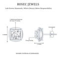 thumbnail image 4 of Rosec Jewels Lab Grown Diamond Stud Earrings for Women (EF-VS Quality) - Ready to Gift with Jewelry Box, 18K White Gold, 4 of 6