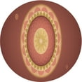 thumbnail image 1 of Ahgly Company Tapis de Zone Rond Orange Citrouille Transitionnel Lavable en Machine, 3 Pieds Rond, 1 of 7