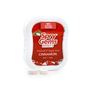 Angle View: Xlear Spry Gems Mints Cinnamon 40 Count 25 g Pack of 3