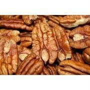 Nuts BG16646 Nuts Shelled Pecans Usa - 1x5LB