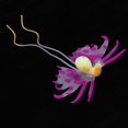 thumbnail image 4 of Coral acuático artificial Pecera Planta Paisaje Decoración Púrpura Yuyangstore Decoración del tanque de peces de acuario, 4 of 8