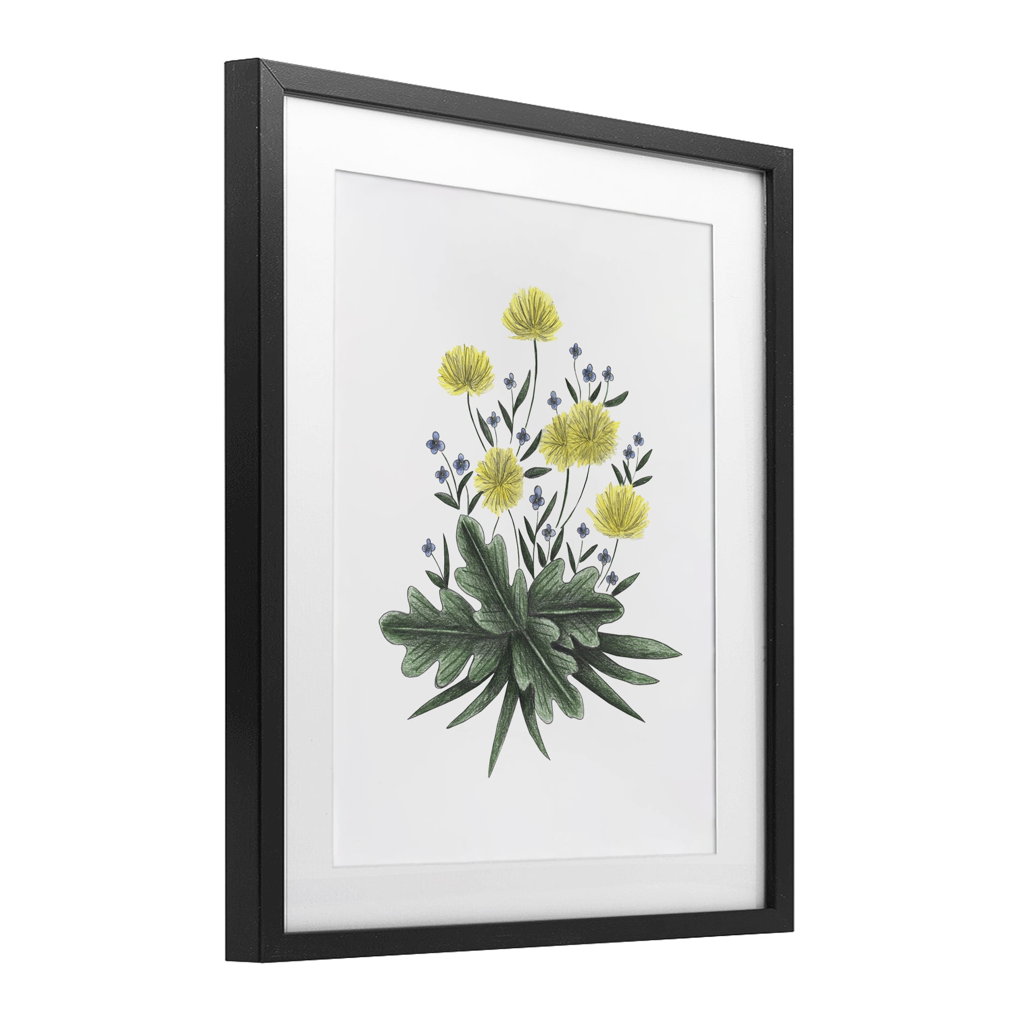 Dandelion Flower Illustration Black Framed Print Under Glass, design by Cecilia Battaini