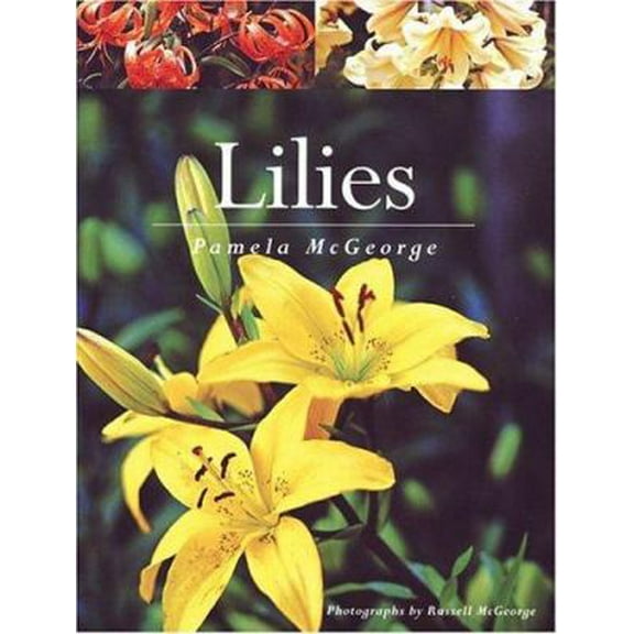 Pre-Owned Lilies (Paperback) 1552978826 9781552978825