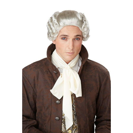 Gray 18th Century Peruke Wig Adult Halloween Accessory