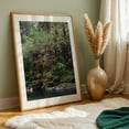 thumbnail image 6 of River Stones and Mossy Grasses - Oregon Photography Forest Woodland Nature Wilderness Scenic Lake Water Unframed Wall Art Print 4 x 6 inches, 6 of 60
