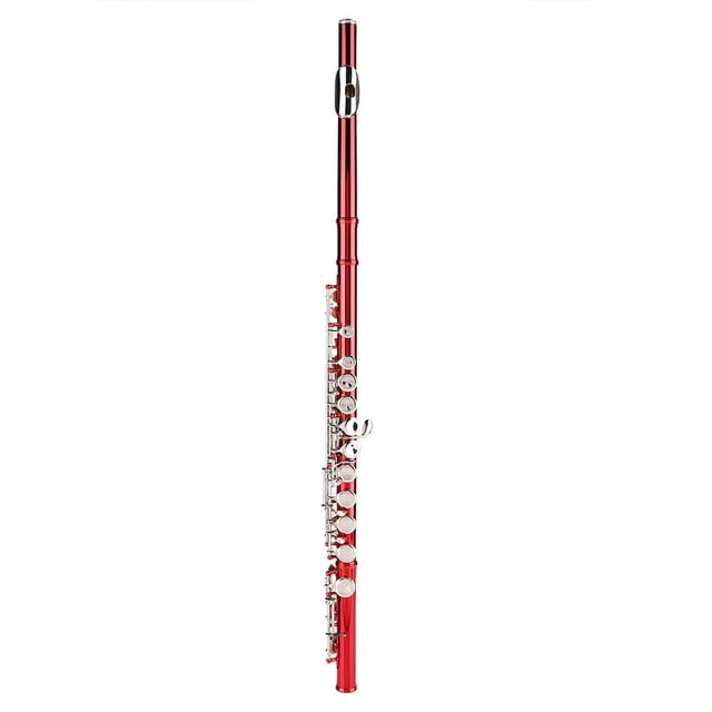 Excellent Airtightness With Storage Case C Key Flute, For Kids And Adult For Professional And Beginner Christmas Thanksgiving Birthday Gift Stage Performance