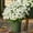 White, variant on Clearance! 5 Bundles Artificial Mums for Outdoors, Realistic Fake Mums Faux Silk Daisy, UV Resistant No Fade Faux Mums for Home Patio Porch Garden Yard Decor, Fall Flowers, Outdoor Fall Decor, 12.6"