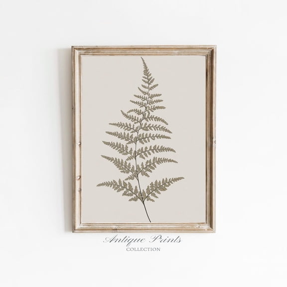 Vintage Botanical Sketch Art, Antique Leaf Drawing, Neutral Nature Print, Farmhouse Wall Decor, Rustic Wall Art Home Decor #216, 8x12 UNFRAMED