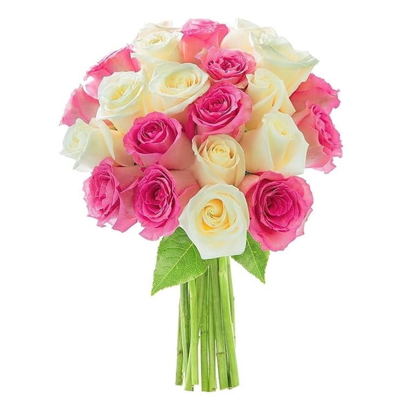 KaBloom : Bouquet of 12 Pink Roses, 12 White Roses Next-Day Delivery, Gift for Every Occasion.