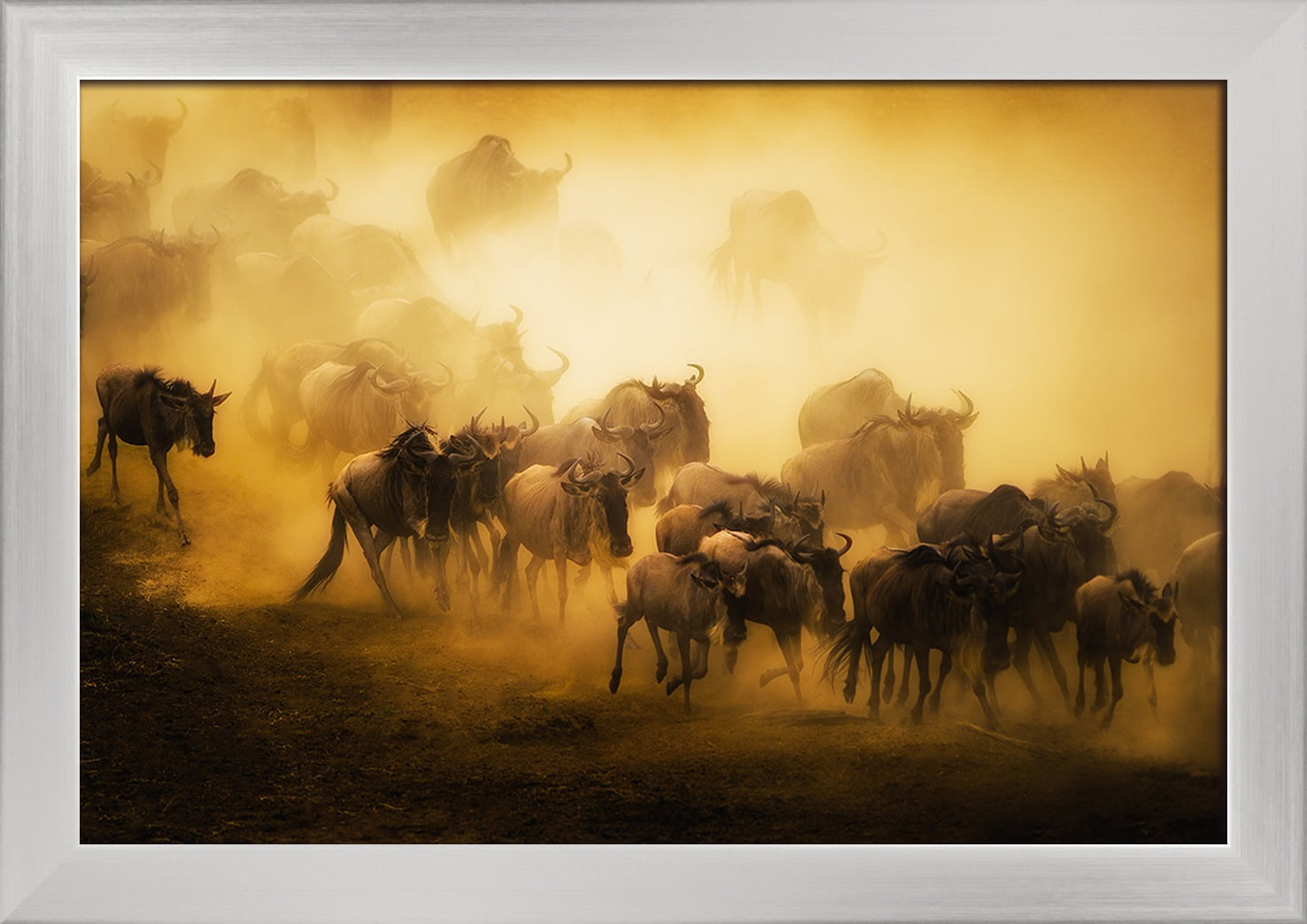 Wildebeest Herd Running Lantern Press Photography 18x12 Giclee Art Print Gallery Framed Silver Wood Walmart Com Walmart Com