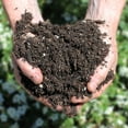thumbnail image 4 of Kellogg Garden Organics-1.5 cu. ft. Patio Plus Premium Outdoor Potting Mix, 4 of 4