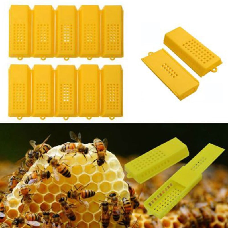 5x Bee keeping Beehive Hive Beetle Trap Case Cover Nest Type Plastic Beekeeper