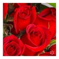 thumbnail image 3 of Bouquet de rosas con 18 tallos, 3 of 4