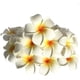 thumbnail image 1 of 20 piezas de agua flotante Plumeria flor artificial Frangipani para decoración de piscina y bañera (blanco) Adepaton HMHZ622, 1 of 4