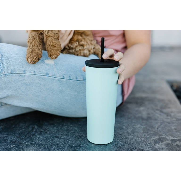 Simple Modern 24 oz Classic Tumbler with Straw Lid and Flip Lid