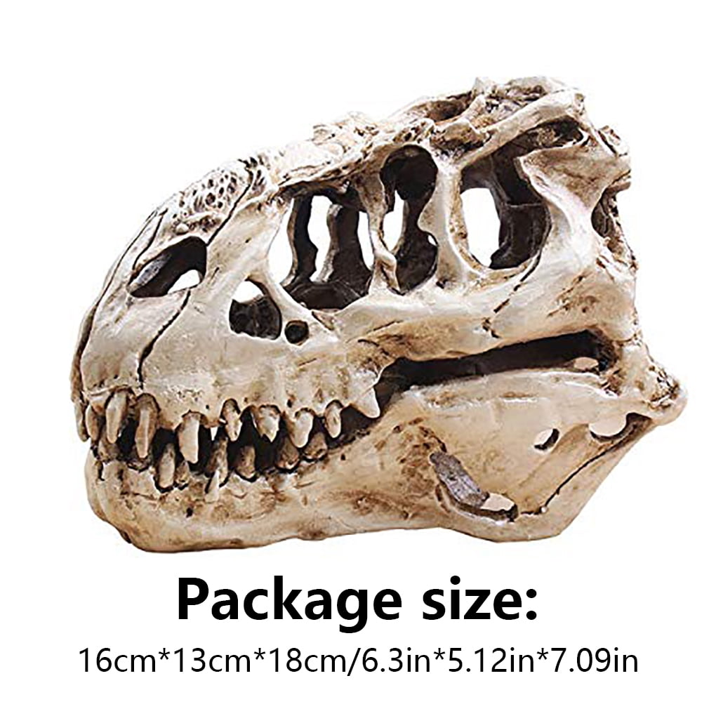 Update 164+ dinosaur skull decor best seven.edu.vn