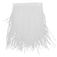 thumbnail image 1 of 11x Adorno de Flecos Teñidos con Plumas de Avestruz para Decoraciones de Sombrerería de Sombrero de Disfraz de Bricolaje, 1 of 10