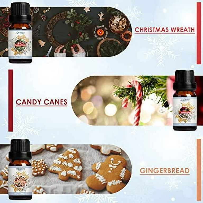 Salubrito Winter Premium Fragrance Oil for Candle/Soap Making,  Diffusers,Candle & Soap Making Scents, Christmas Wreath, Candy Canes,  Gingerbread