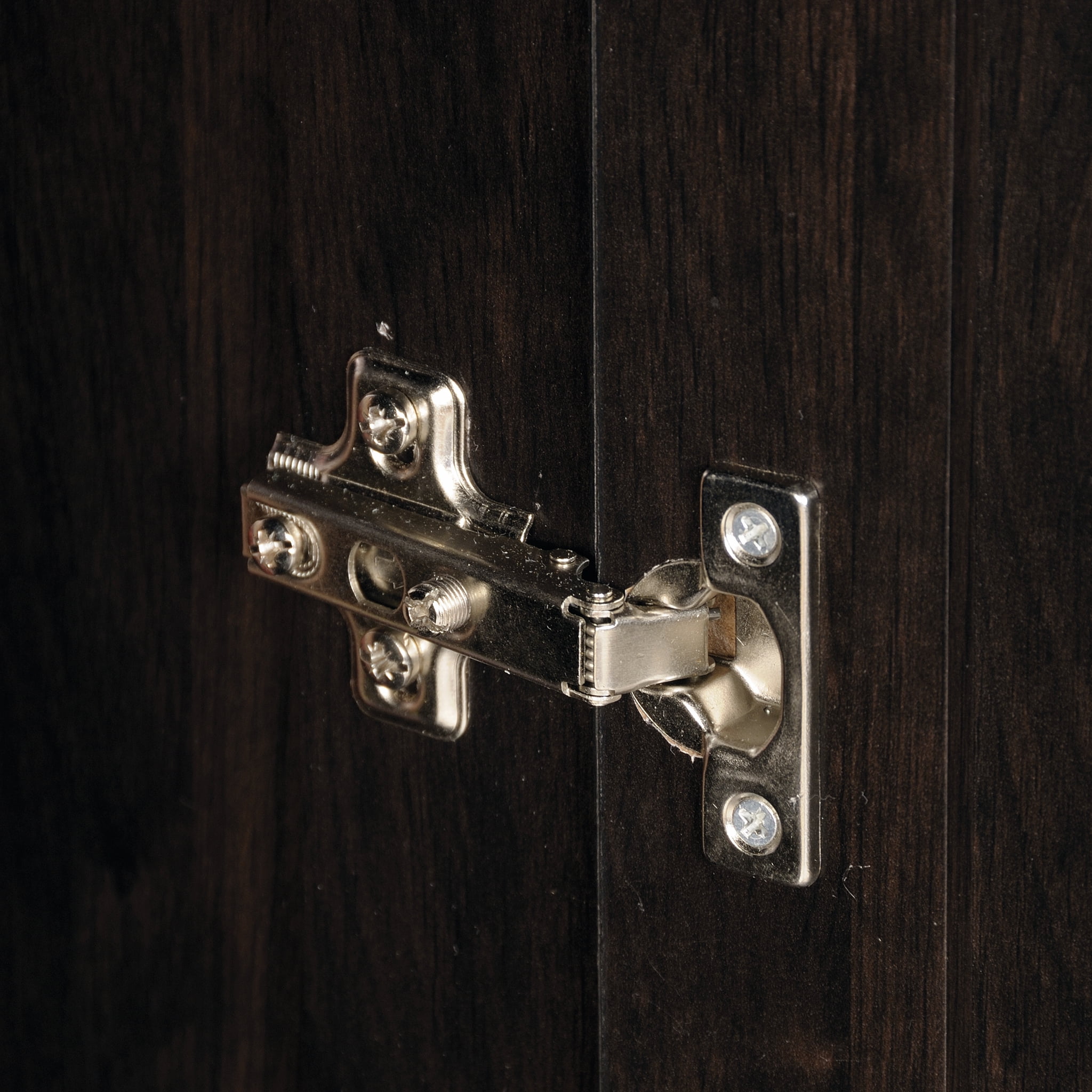 Sauder Select 2Door Tall Storage Cinnamon Cherry Finish