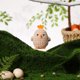 thumbnail image 4 of Ángel Colgando 1 adorno de pollito de dibujos animados en 3D, colorido, para Pascua, para fiestas navideñas, color marrón café. JASKFLY, 4 of 9