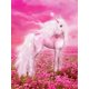 thumbnail image 1 of CHENISTORY-pintura de diamante 5D con Marco, paisaje rosa, unicornio, caballo, punto de cruz, manualidades, bordado de mosaico, regalo, decoración del hogar, 1 of 4