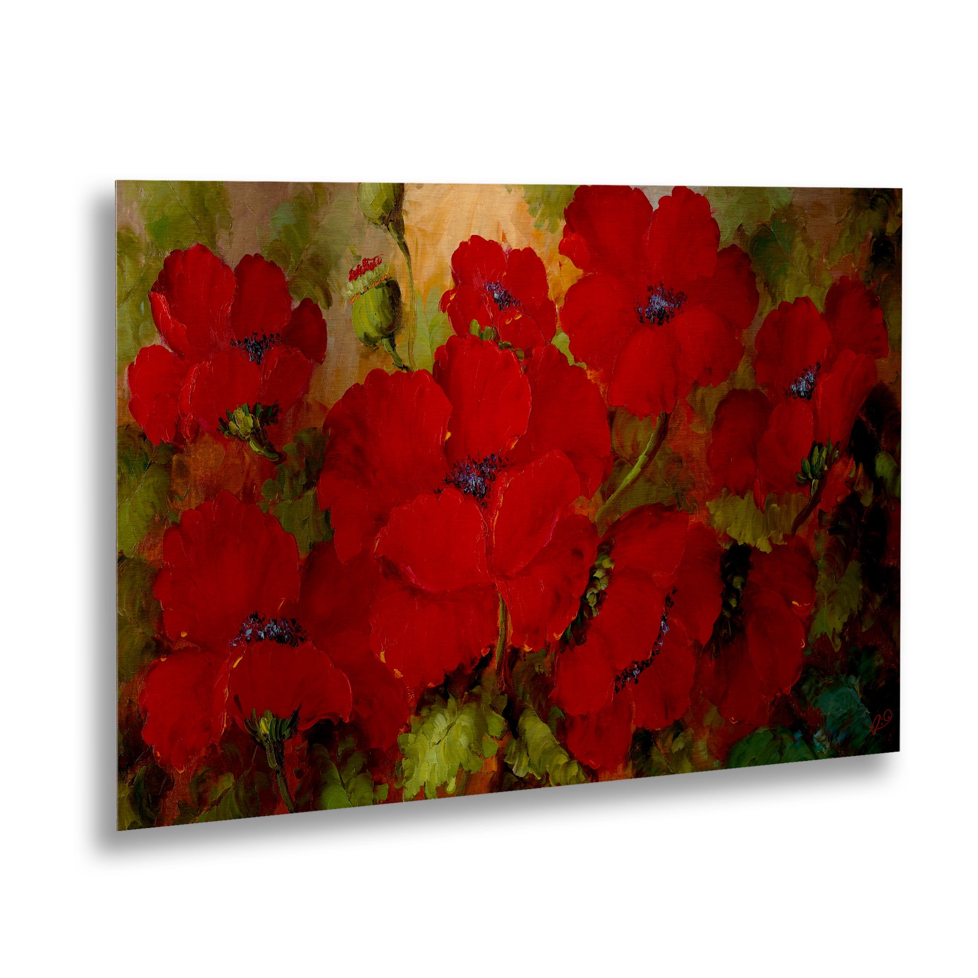 Trademark Fine Art 'Poppies' Brushed Aluminum Wall Art Art by Masters Fine Art