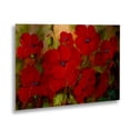 thumbnail image 2 of Trademark Fine Art 'Poppies' Brushed Aluminum Wall Art Art by Masters Fine Art, 2 of 4