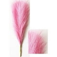 thumbnail image 2 of ZOELNIC Artificial Pampas Grass Decor Tall 17.7" Faux Bulrush Reed Grass Artificial Flowers for Vase Filler Flower Arrangement Living Room Wedding Boho Home Decor, 3PCS, 2 of 7