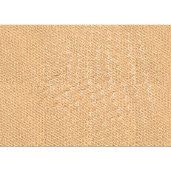 Ahgly Company Indoor Rectangle Patterned Carrot Orange Area Rugs, 3' x 5'
