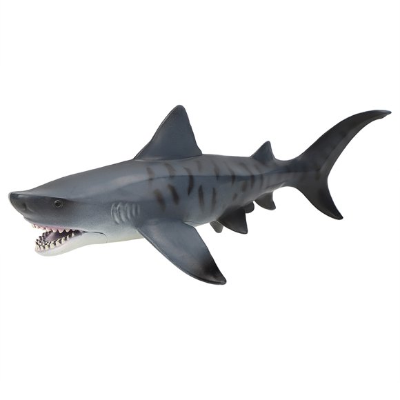 Simulation Educational Model, Animal Rare Model Plastic Sharks Model, Boys Educational For Children Kids Hollow Hammerheads,Hollow Megalodon,Hollow Great White Sharks,Hollow Tiger