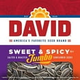 thumbnail image 3 of David Roasted And Salted Spicy Queso Jumbo Sunflower Seeds, Keto Friendly, 5.25 Ounce (Pack Of 12), 3 of 3
