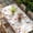 Light Pink, variant on Spring Floral Table Cloths for 8 Foot Rectangle Tables, Elegant Flowers Farmhouse Botanical Rustic Patio Waterproof Elastic Fitted Tablecloths, Washable Rectangular Table Cover for Camping