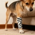 thumbnail image 3 of Self- Sports Bandage Flexible Non-Woven Fabric Finger Support Wrap for Pet Injury, 3 of 3
