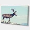 thumbnail image 2 of Grand Renne en Norvège - Impression sur Toile Abstraite, 2 of 3