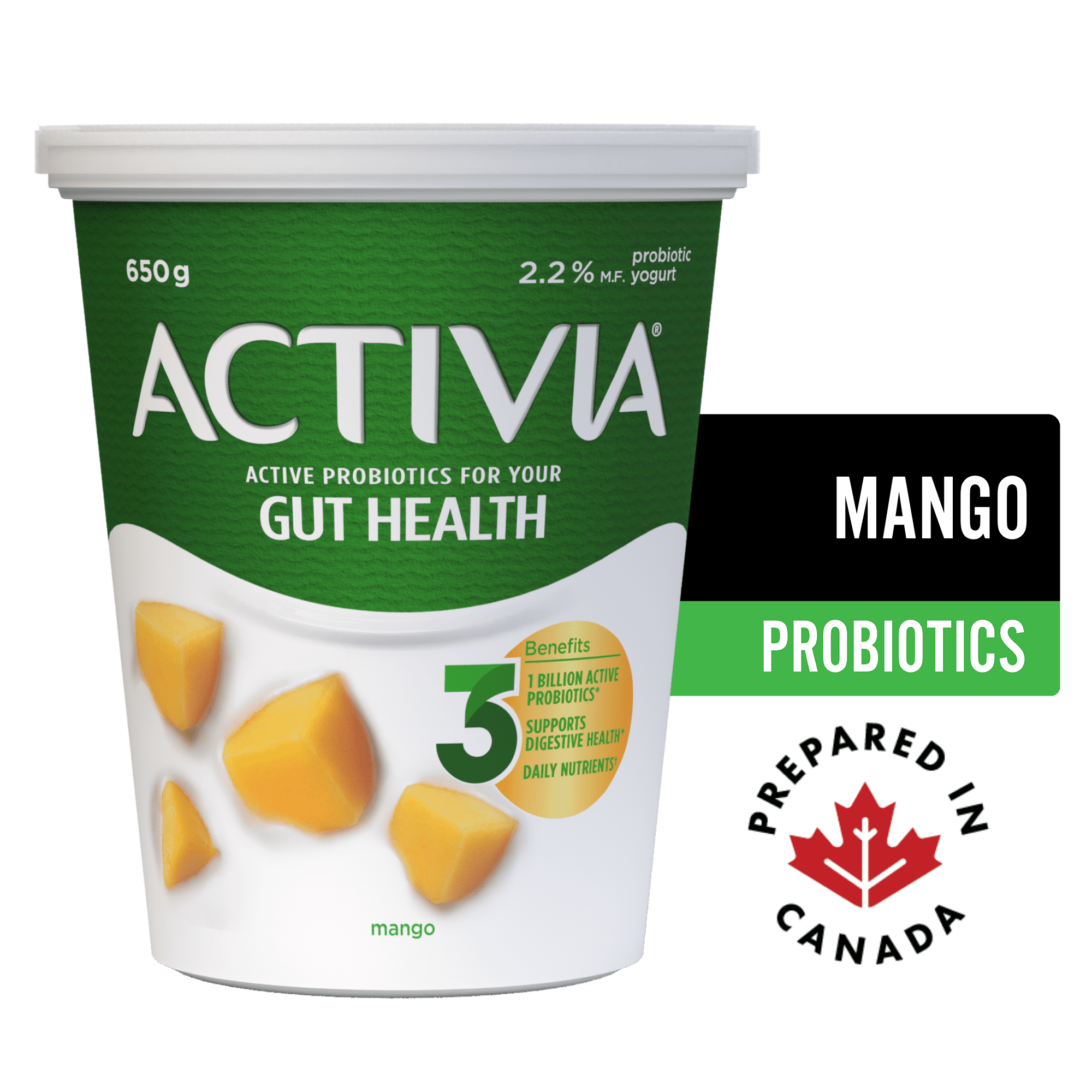 Activia Yogurt with Probiotics, Mango Flavour, 650 g