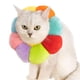 thumbnail image 2 of Collar Para Mascotas Multicolor M Jormftte 220305-4, 2 of 7