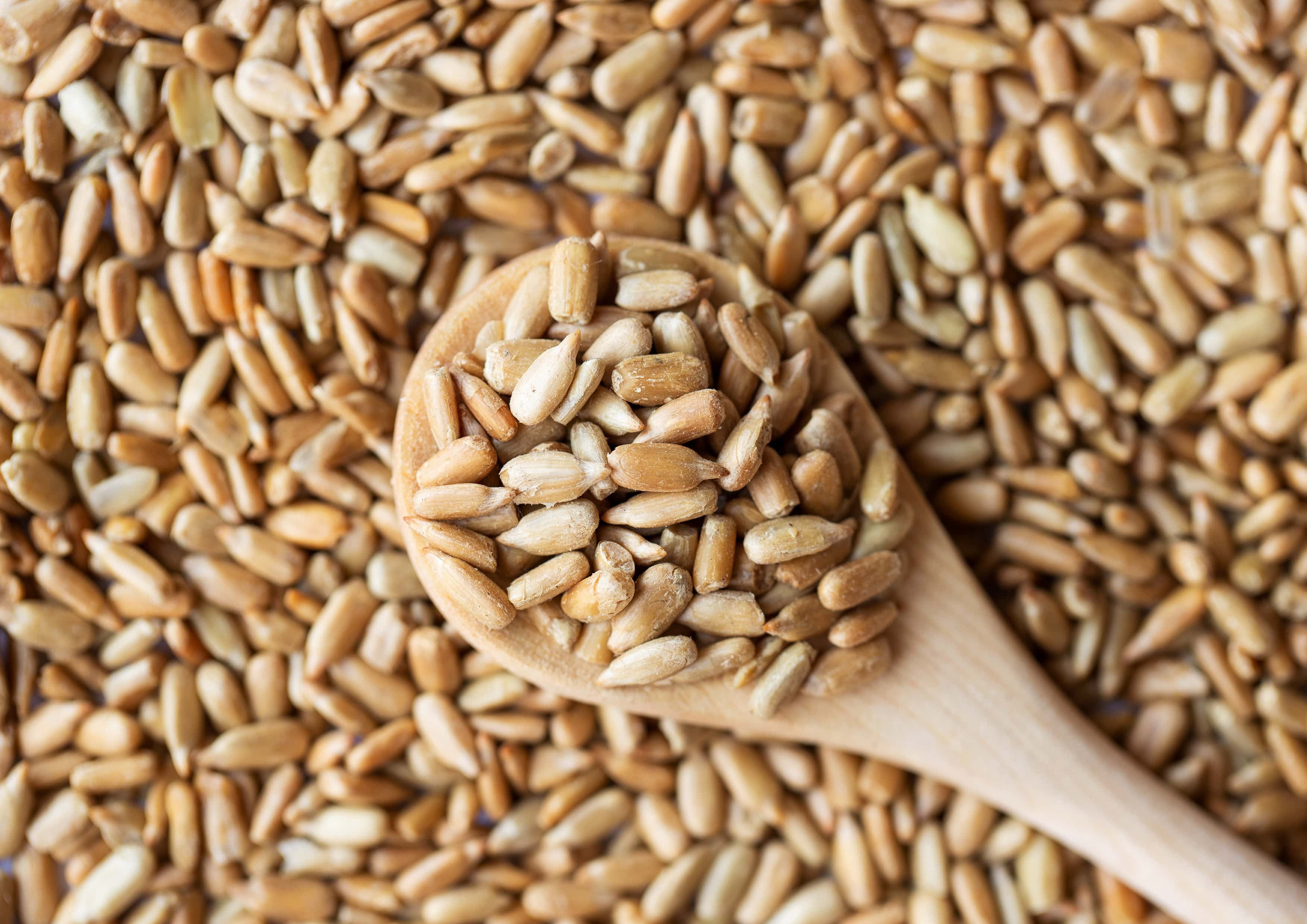 Dry Roasted Sunflower Seed Kernels with Himalayan Salt, 4 Pounds — Vegan, Kosher — by Food to Live