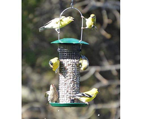 GC Finches Favorite 3 Tube Bird Feeder Copper Songbird Essentials 